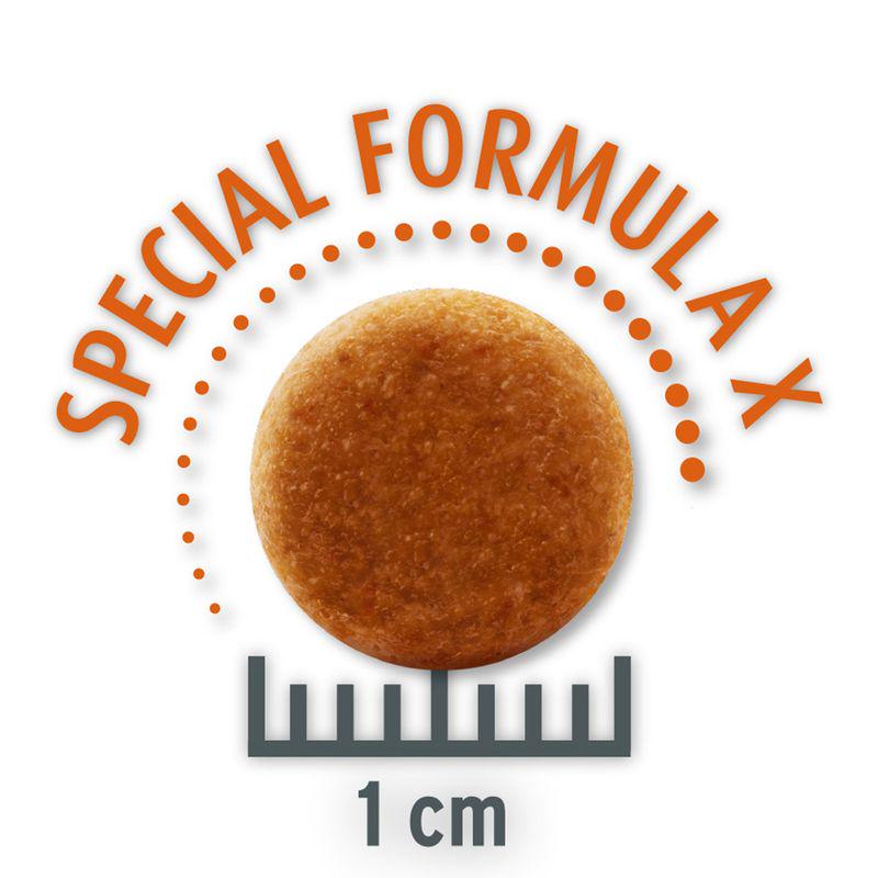 Complete dry dog food