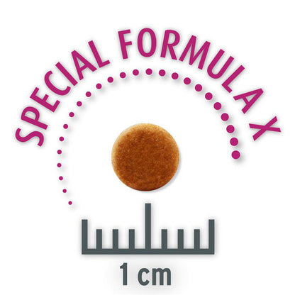 Everyday value dog food