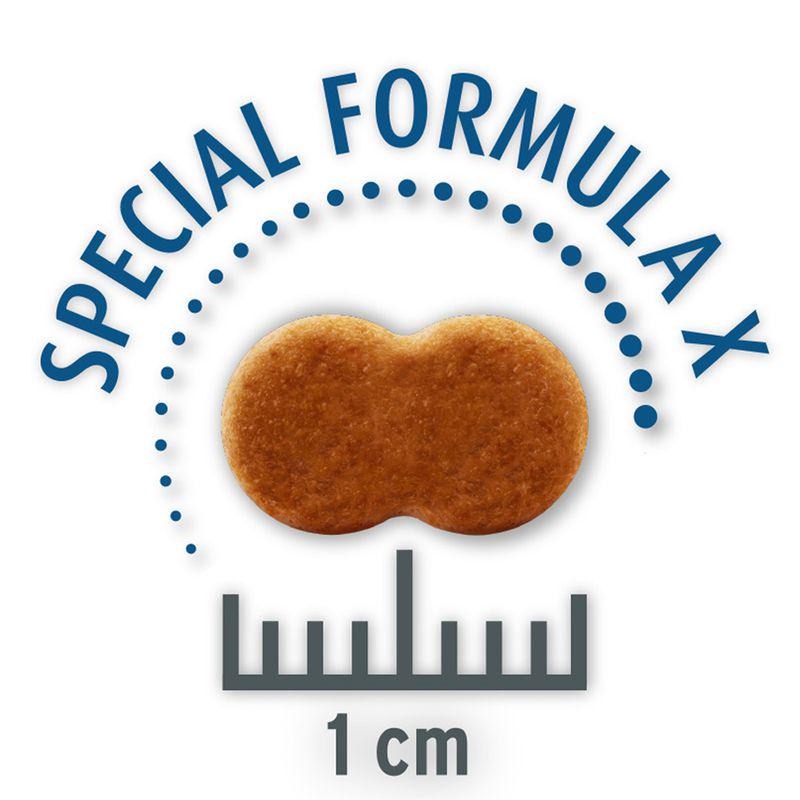 Economy size pet food