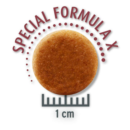 Complete dry dog food