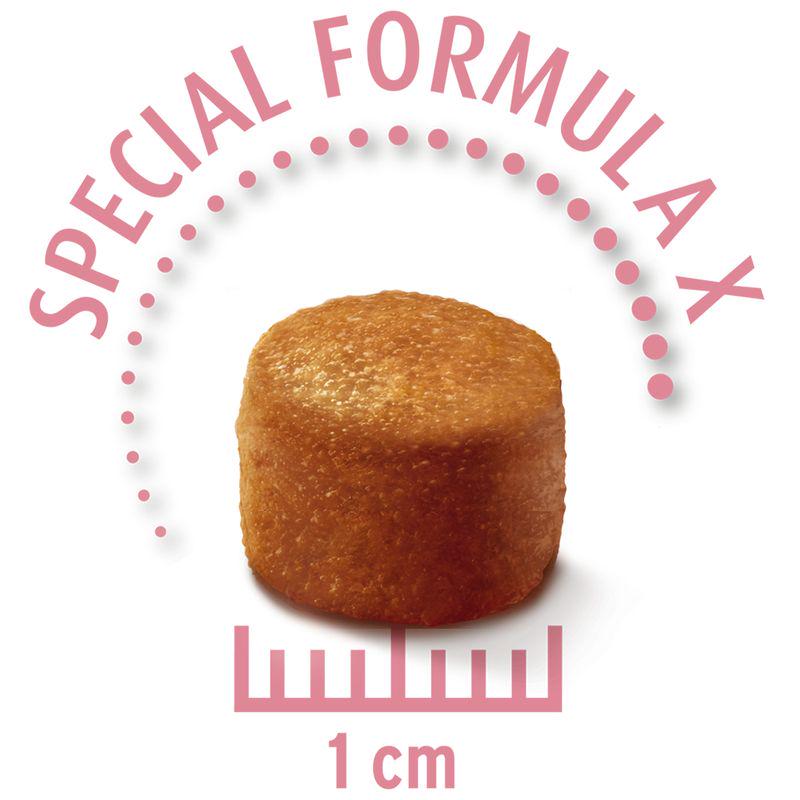 Concept for Life pack