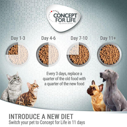 Healthy dog food deal