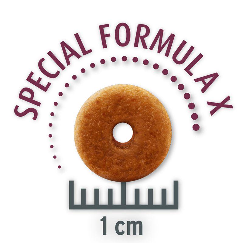 Cost effective pet meals