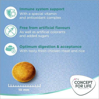 Junior large breed formula