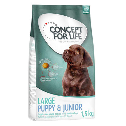 Puppy food for big dogs