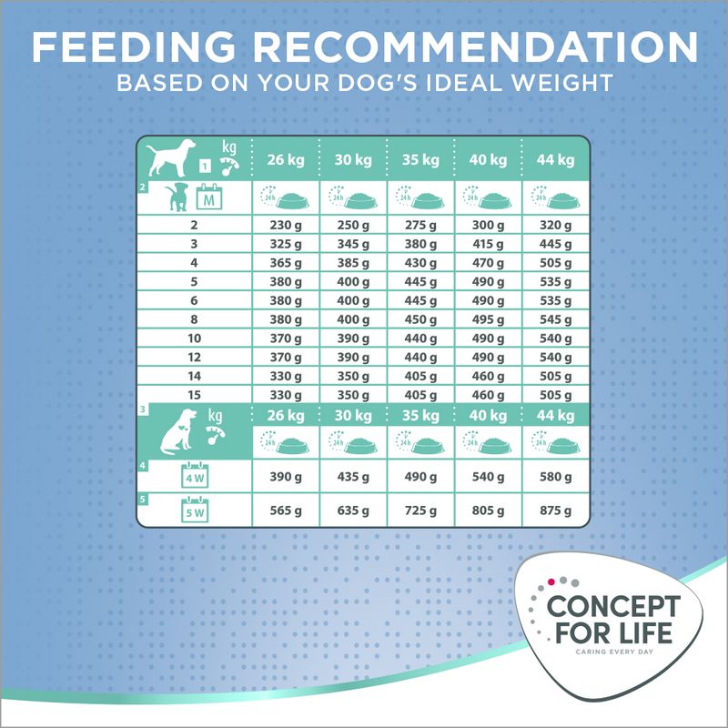 Large puppy balanced nutrition