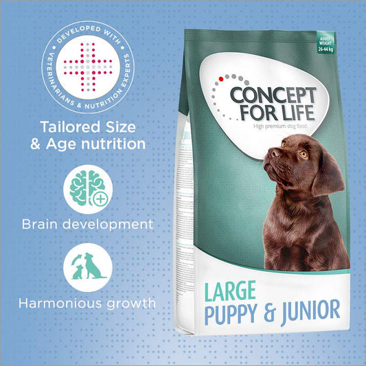Concept for Life large puppy