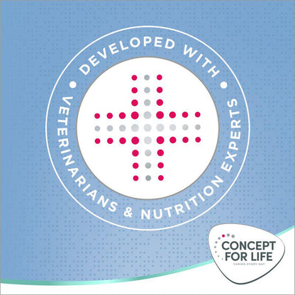 Large breed puppy dry food