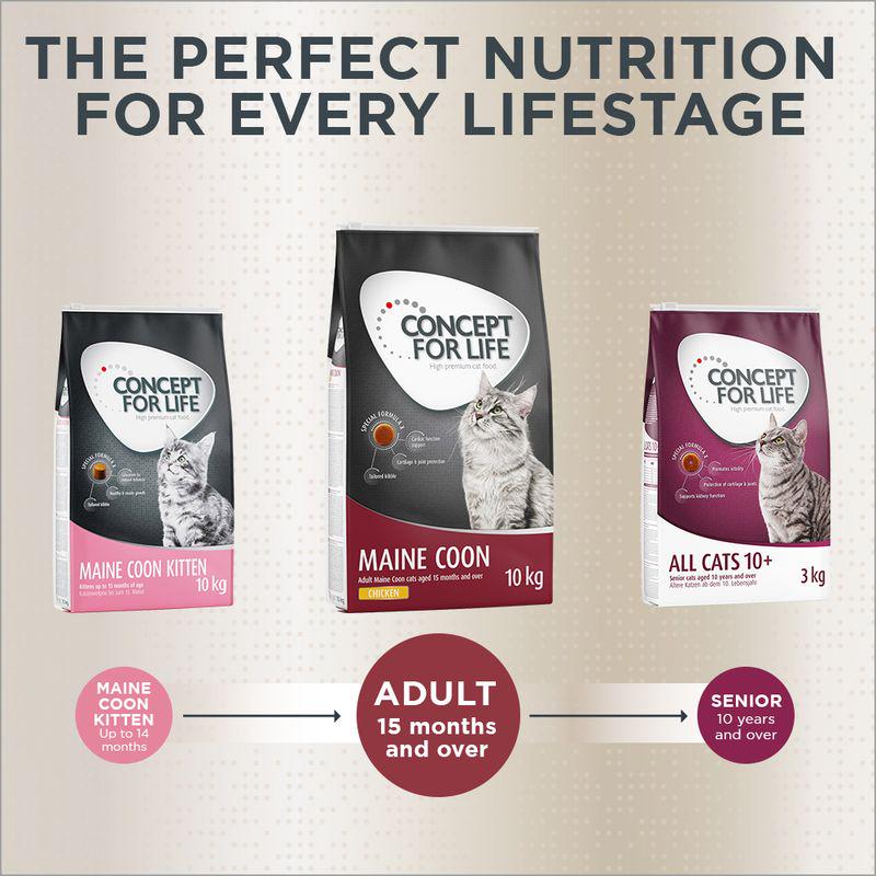 Concept for Life Maine Coon Adult