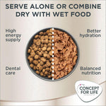 Load image into Gallery viewer, Concept for Life Maine Coon Adult
