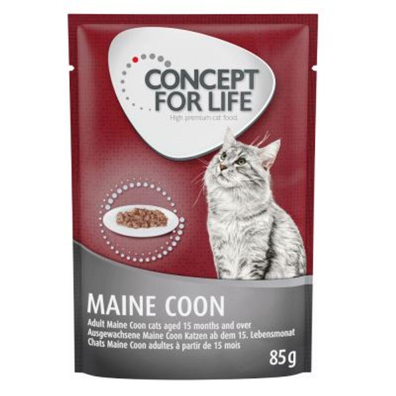 Concept for Life Maine Coon Adult