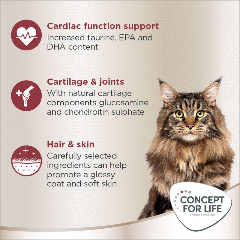 Concept for Life Maine Coon Adult