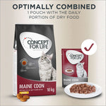 Load image into Gallery viewer, Concept for Life Maine Coon Adult
