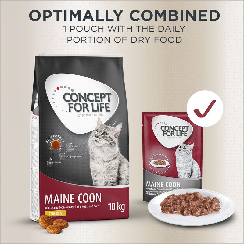 Concept for Life Maine Coon Adult