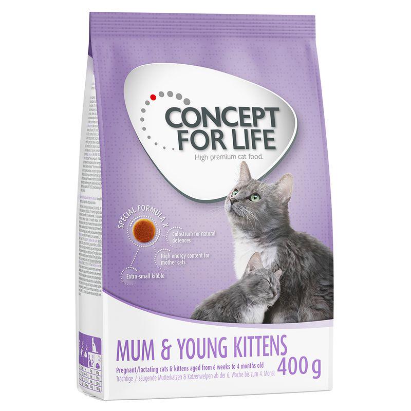 Nutritional support for kittens