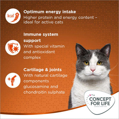 Balanced Cat Food Formula