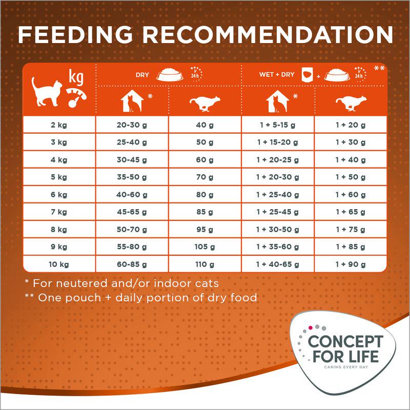 Dry Food for Cats