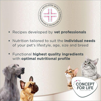 Persian adult Concept kibble