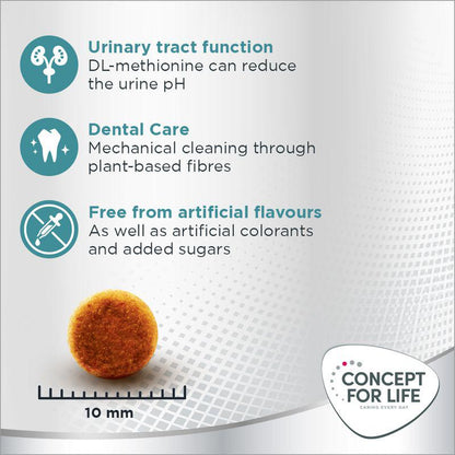 Hypoallergenic cat diet