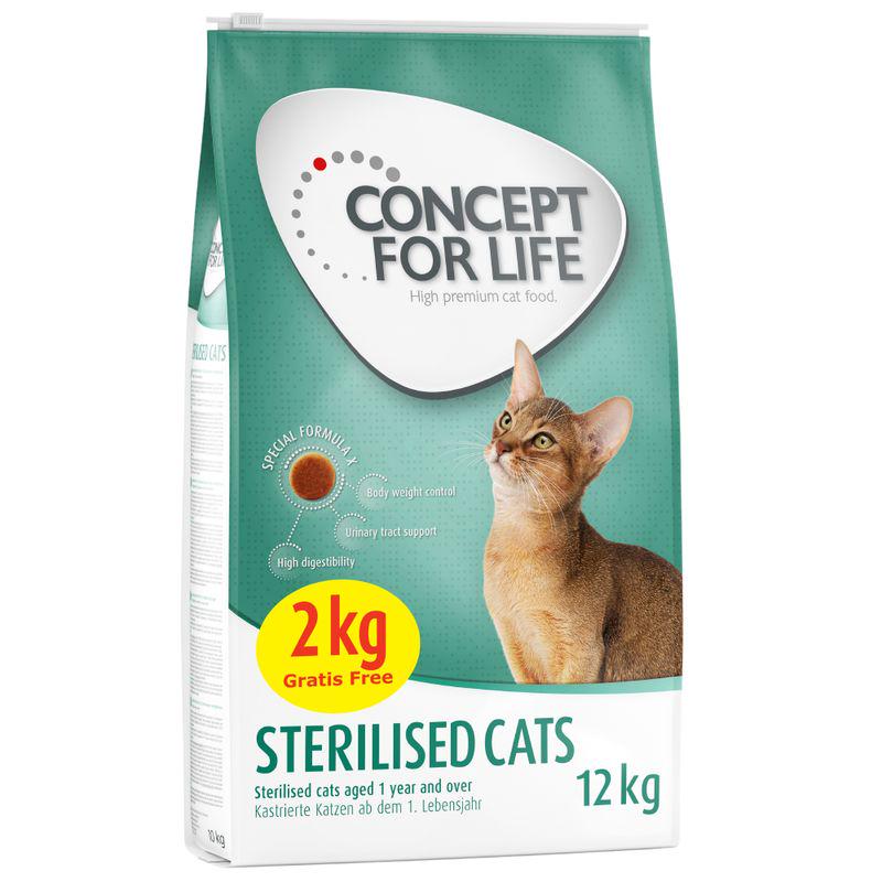 Chicken kibble for cats