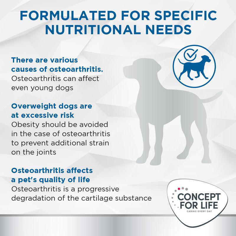 mobility dog food concept