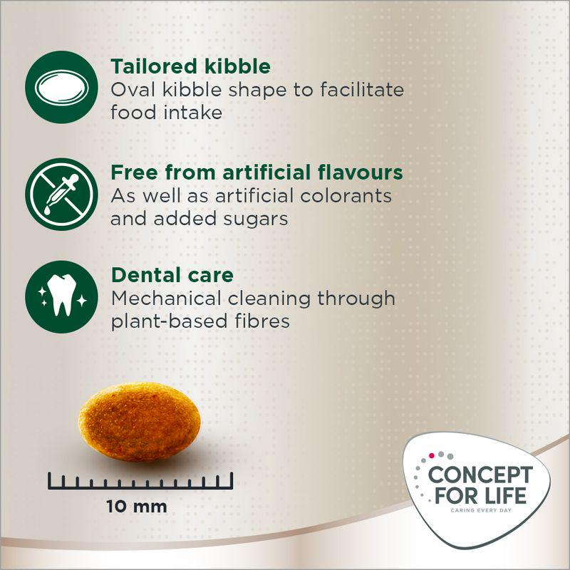 Persian formula cat nutrition