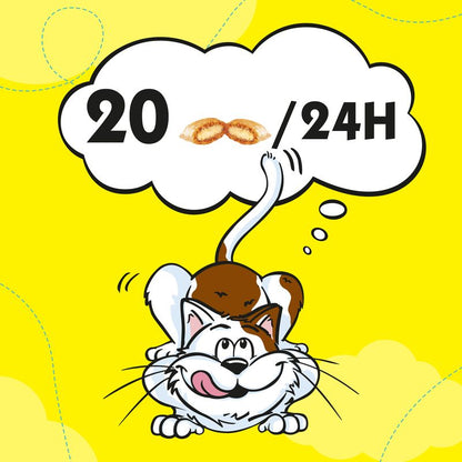 Cartoon cat with a thought bubble showing '20/24H' on a yellow background