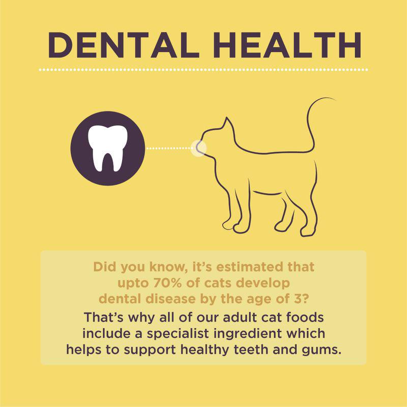 Burgess dry food chicken duck