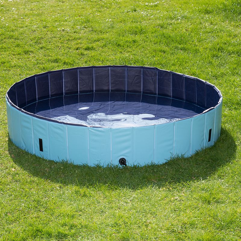 Dog paddling pool