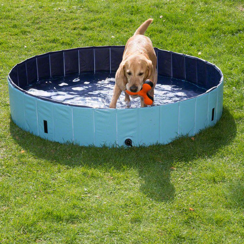 Doggy Paddling Pool