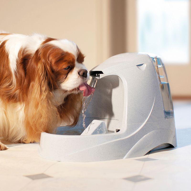 Cat fountain filters