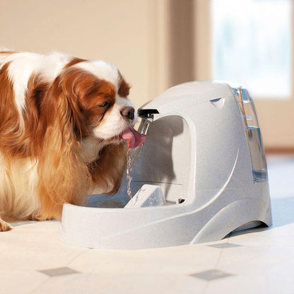 Cat fountain filters