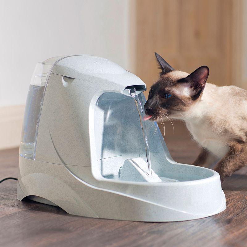 Dog water filter pack