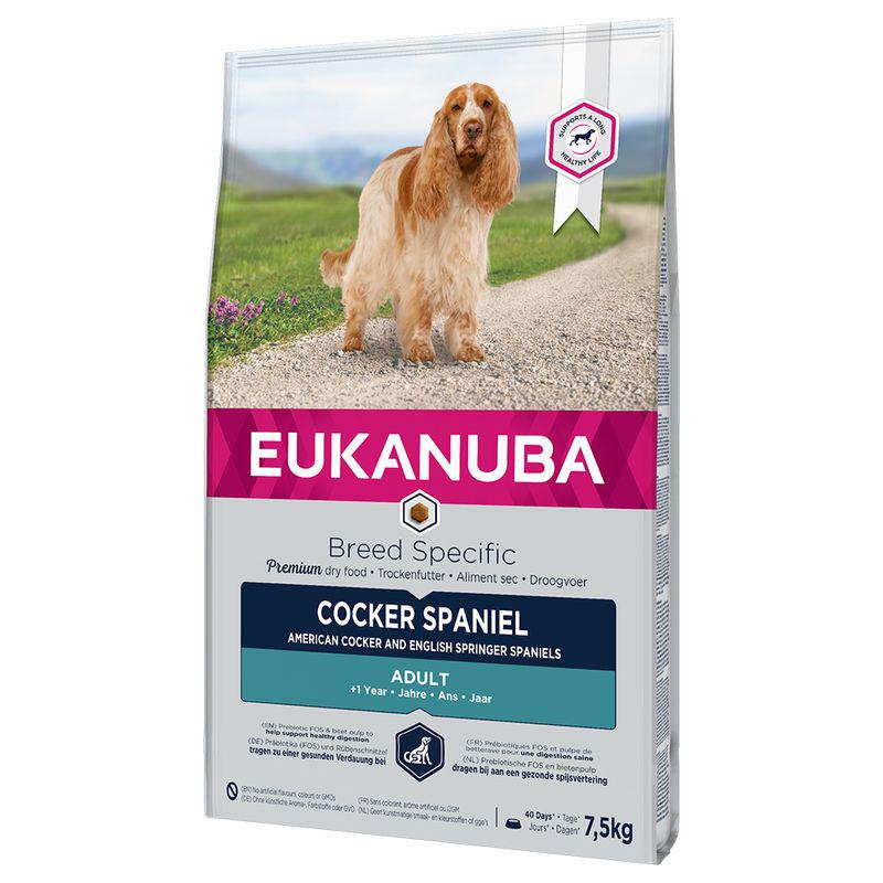 Cocker Spaniel adult food