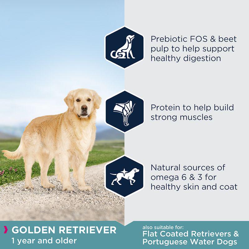 Eukanuba dog food for Golden Retrievers