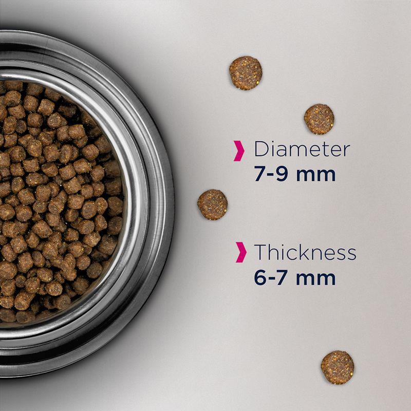 Hairball relief dry food