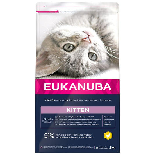 Eukanuba kitten dry food
