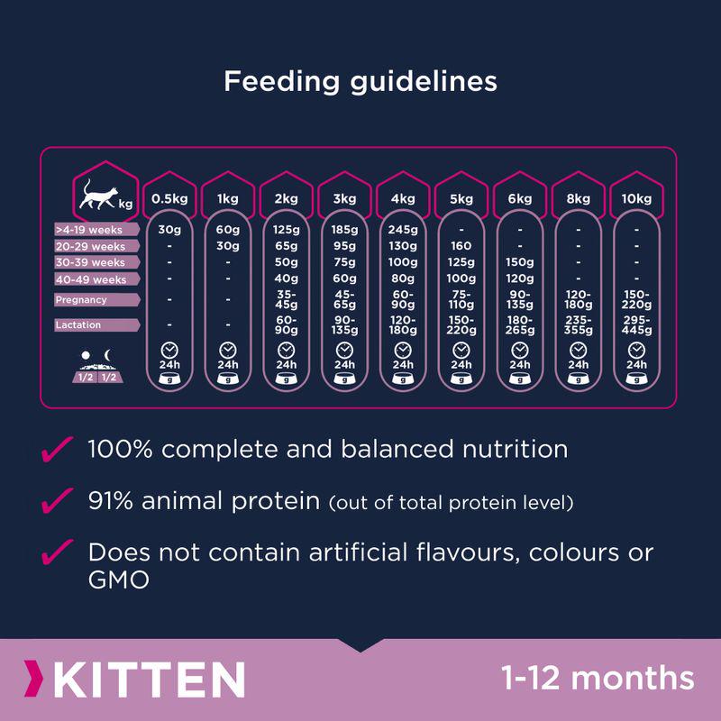 Nutritional start for kittens