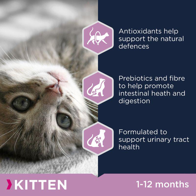 Kitten growth formula food