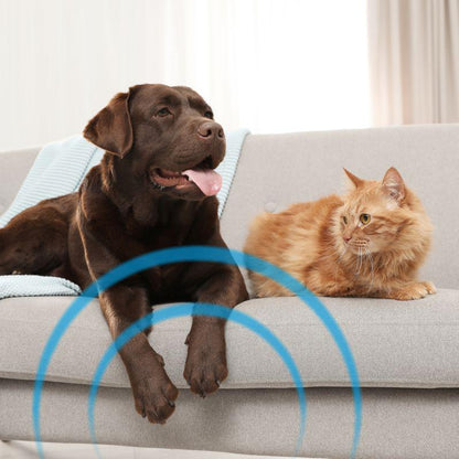 Frontline spray for carpets