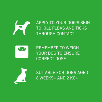 Flea prevention dogs