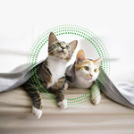 Load image into Gallery viewer, FRONTLINE® Plus Spot On for Cats
