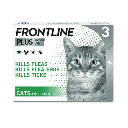 Spot-on flea care for cats