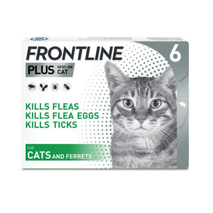 Cat spot-on Frontline Plus