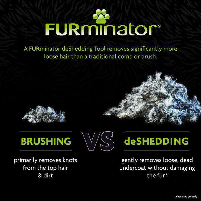 Pet deshedding brush for short coats