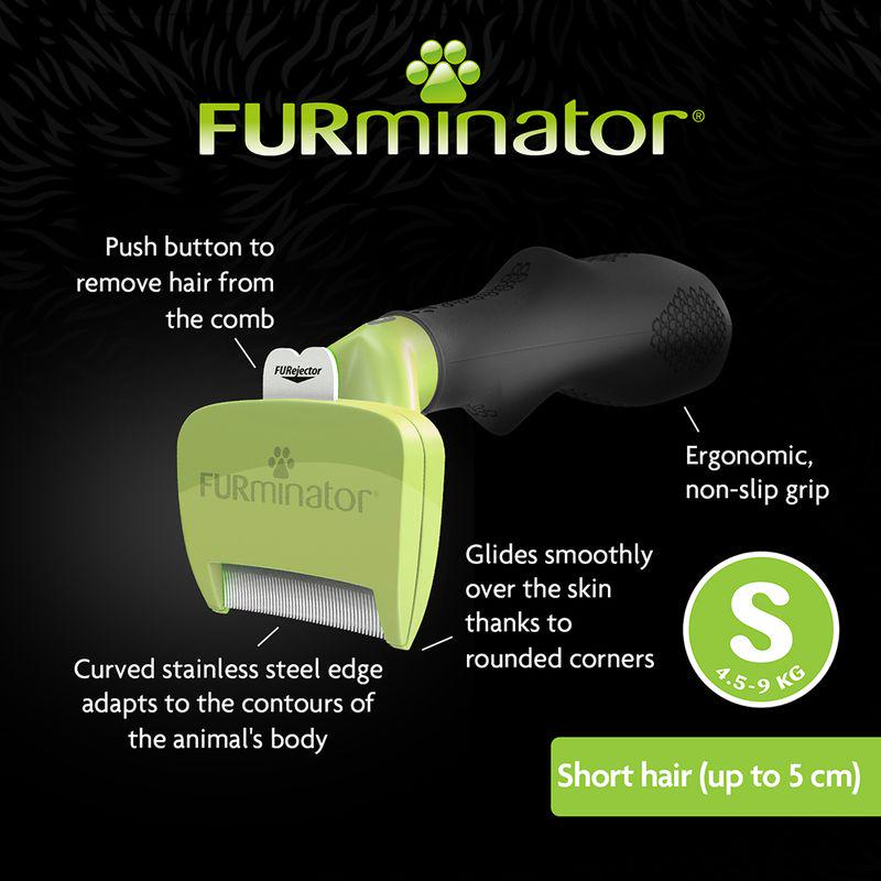 FURminator for small short-haired dogs