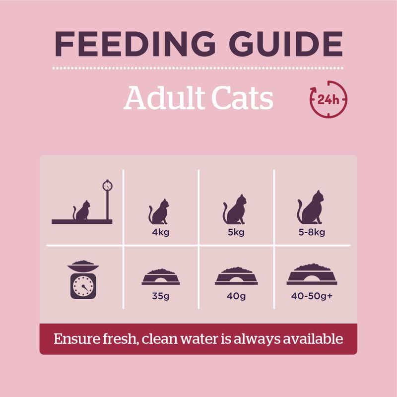 Feeding Guide Burgess Adult Cats