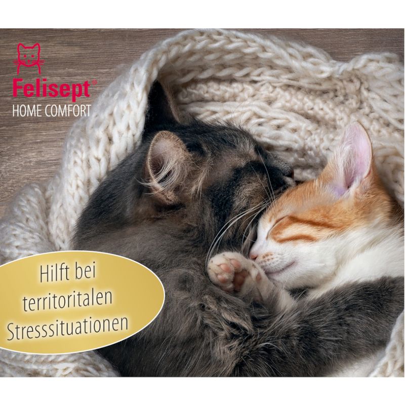 Adjustable cat collar