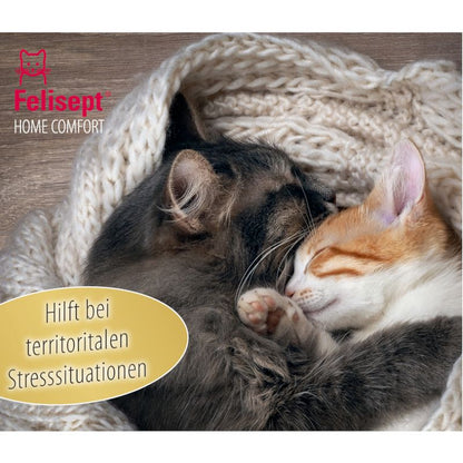 Adjustable cat collar