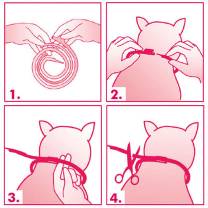 Nepeta cataria collar